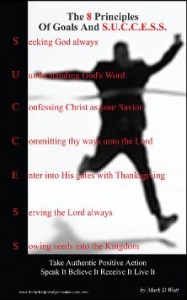 The 8 Principles Of Goals And S.U.C.C.E.S.S. The 8 Principles Of Goals And S.U.C.C.E.S.S.
