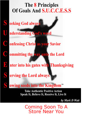 The 8 Principles Of Goals And Success - Book Coming Soon