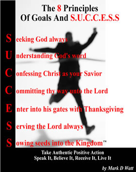 the 8 principles of goals and success - a