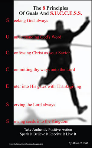 The 8 Principles Of Goals And Success The 8 Principles Of Goals And Success
